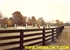 Picture of 4 Rail Board Fence Photo Gallery