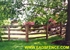 Picture of 4 Rail Board Fence Photo Gallery