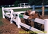 Picture of Vinyl Ranch Rail Gates Photo Gallery