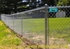 Picture of Residential Chain Link Photo Gallery