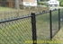 Picture of Residential Chain Link Photo Gallery